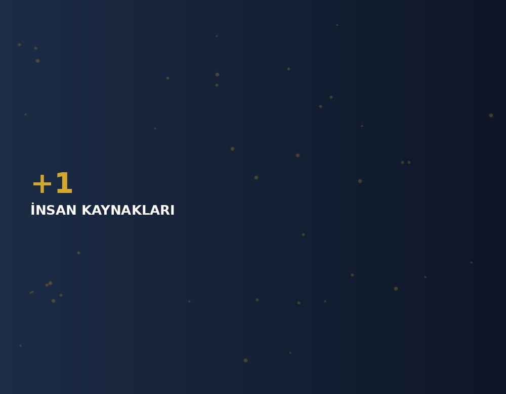 +1 İK ekibi ofis ortamında çalışıyor